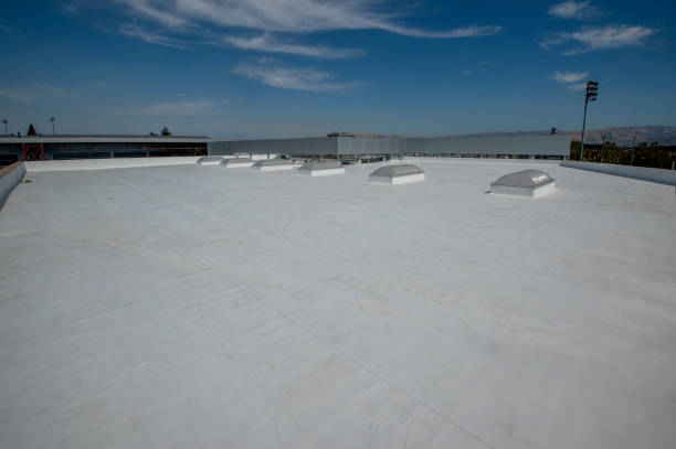 Best Commercial Roofing Services  in Hayti, MO