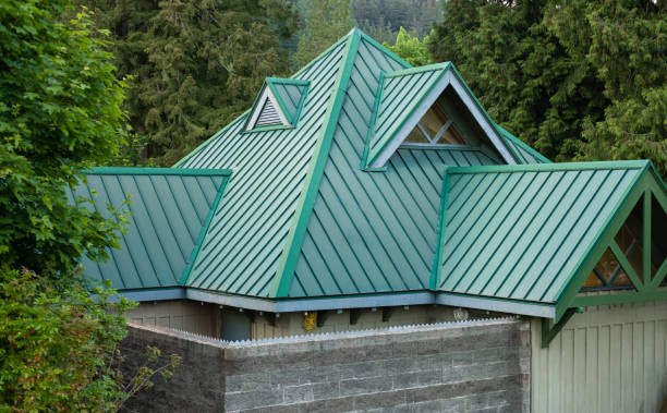 Best Skylight Installation and Repair  in Hayti, MO