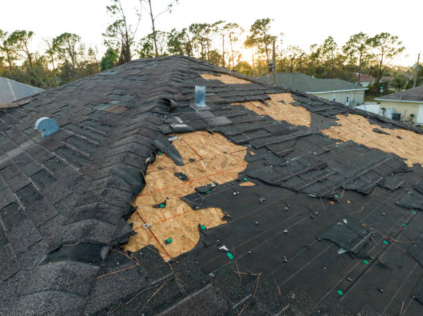 Best Commercial Roofing Services  in Hayti, MO