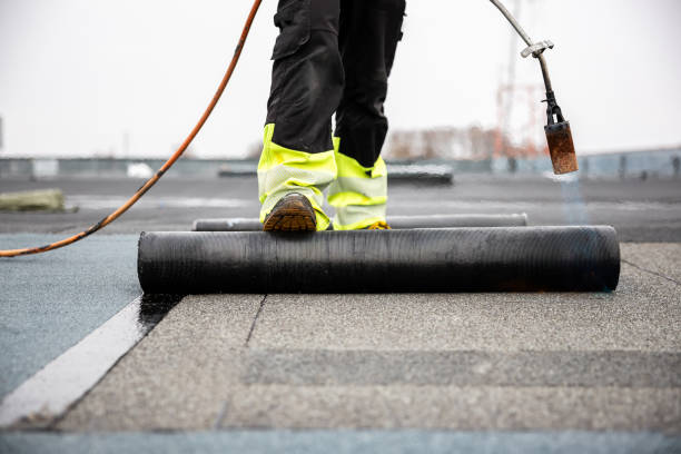 Best Roof Moss and Algae Removal  in Hayti, MO