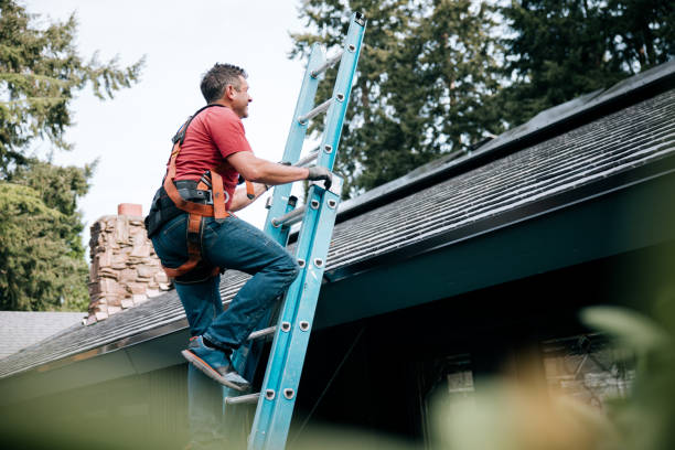 Best Asphalt Shingles Roofing  in Hayti, MO
