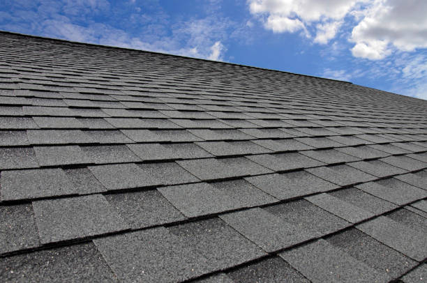 Best Roof Maintenance and Cleaning  in Hayti, MO