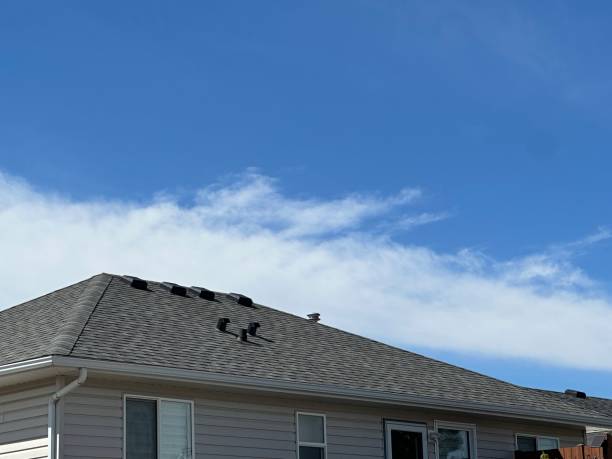 Best Metal Roofing Installation  in Hayti, MO